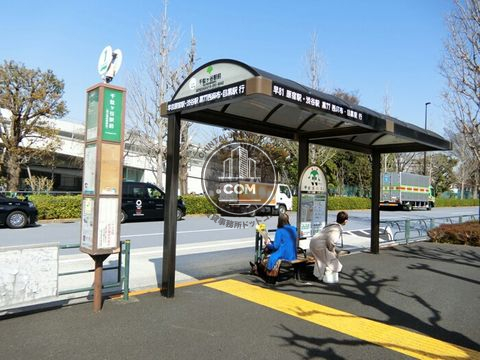 大通り