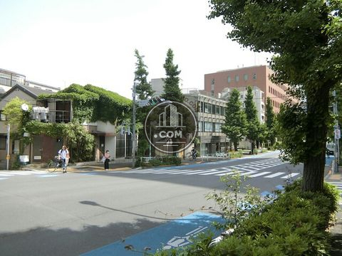 大通り