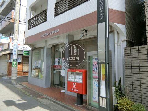 大通り