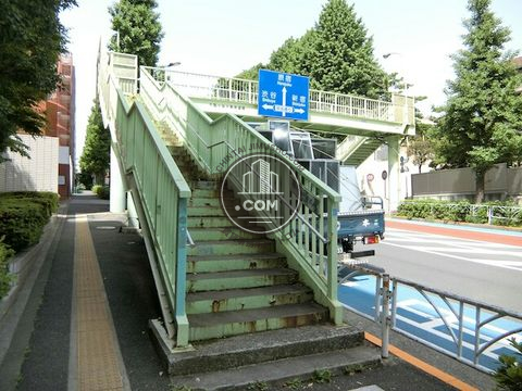 大通り