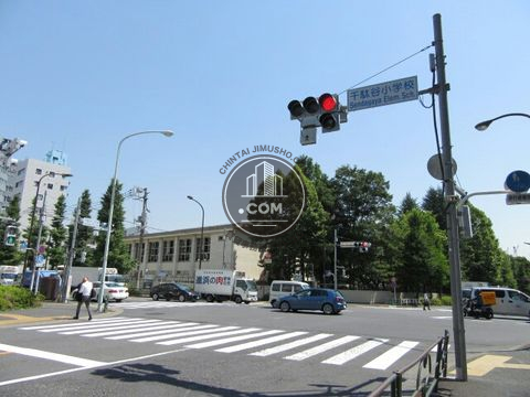 大通り
