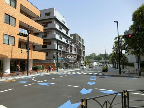 大通り