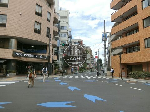 大通り