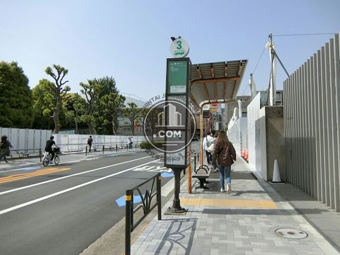 大通り
