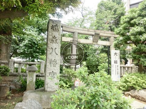 大通り