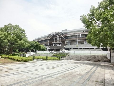 大通り