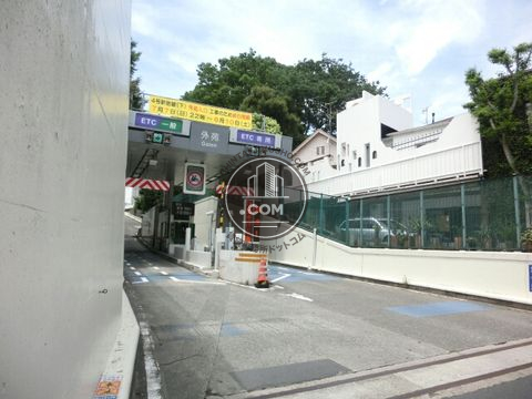 大通り