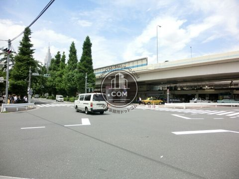 大通り