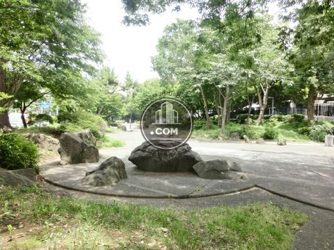 大通り