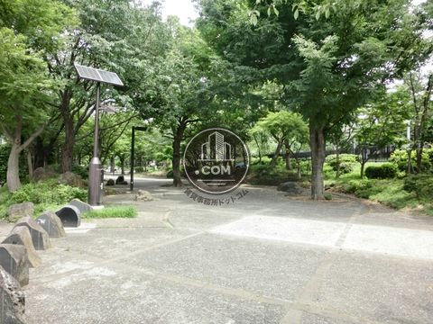 大通り
