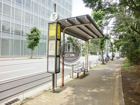 大通り