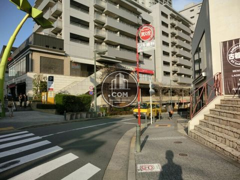 大通り