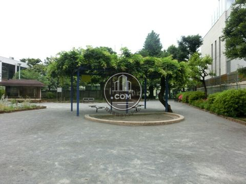 裏路地