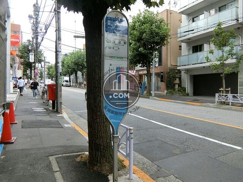 大通り