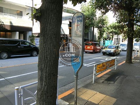 大通り