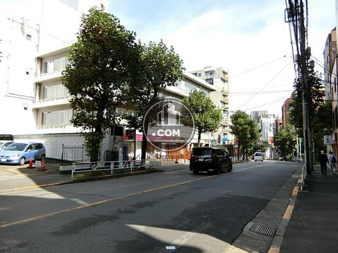 大通り