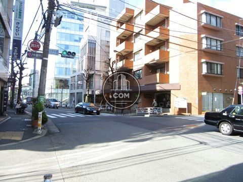 大通り