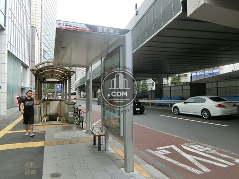 大通り