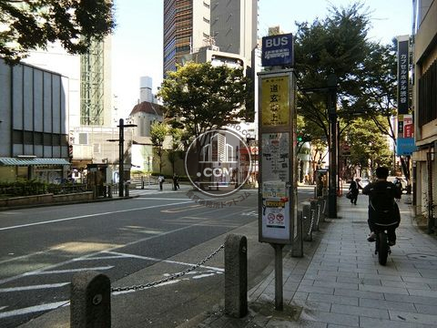 大通り