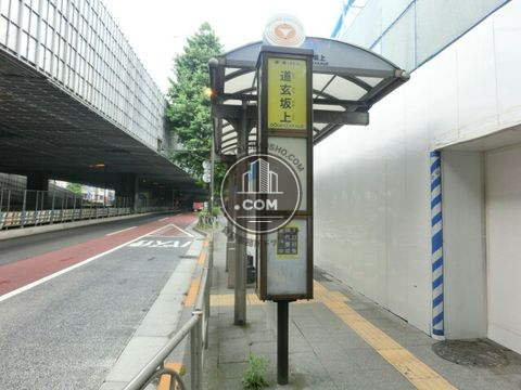 大通り