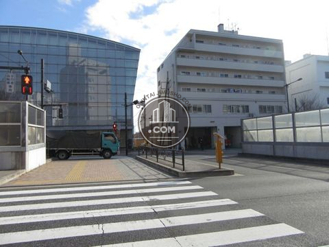 大通り