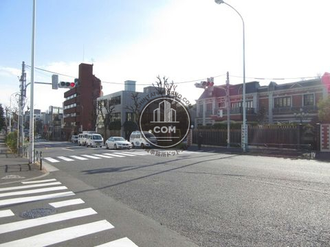 大通り