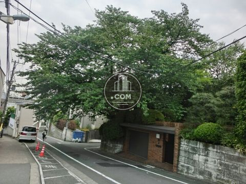 裏路地