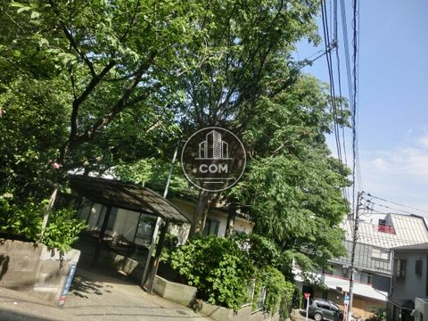 裏路地
