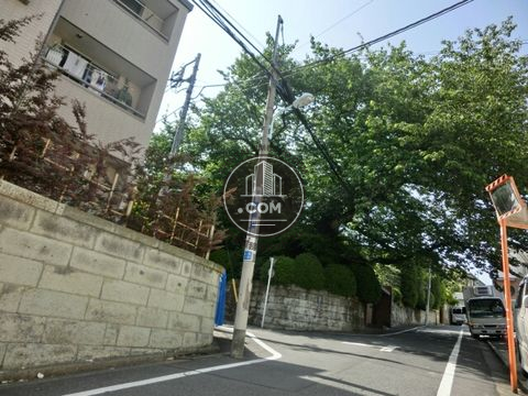 裏路地