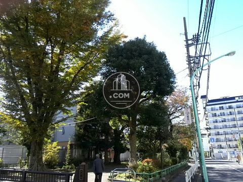 裏路地