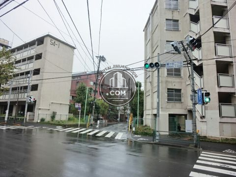 大通り