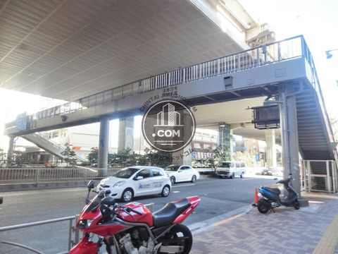大通り