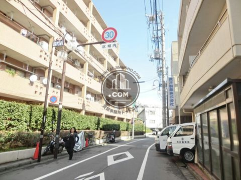 大通り