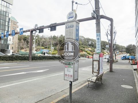 大通り