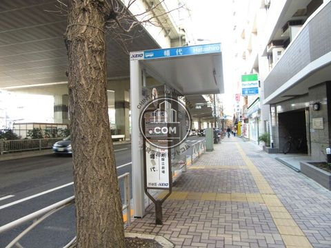 大通り