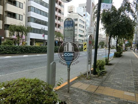 大通り