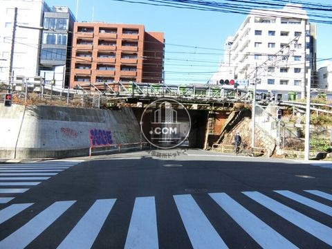 大通り