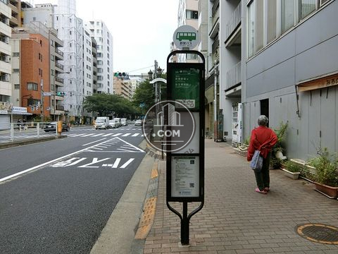 大通り