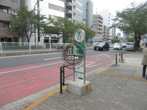 大通り