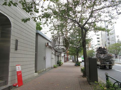 大通り