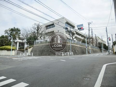 大通り