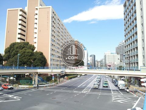 大通り