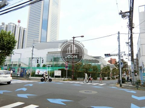 大通り