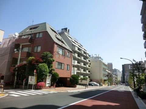 昼間は落ち着いています