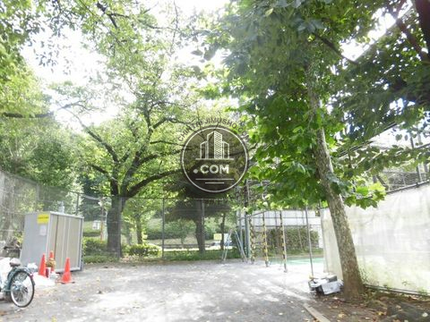 裏路地
