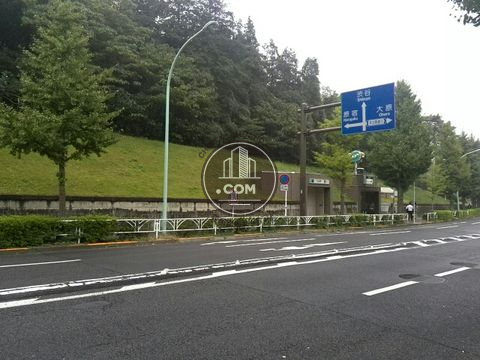駅周辺