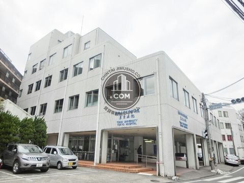 大通り