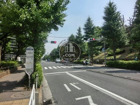 大通り
