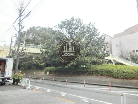 大通り