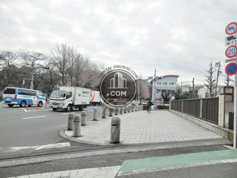 大通り